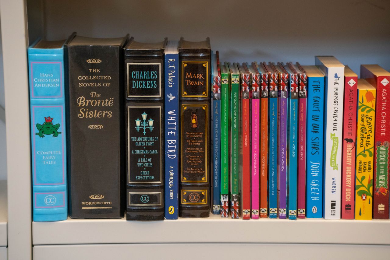 Close-up of a bookshelf with classic and modern novels. Perfect for book lovers.